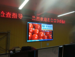 陽新一中初中部1樓學(xué)術(shù)報(bào)告廳